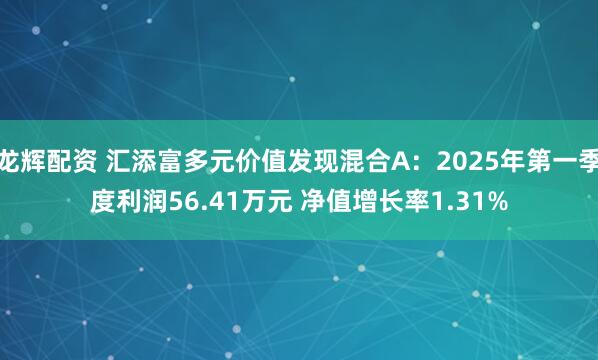 龙辉配资 汇添富多元价值发现混合A：2025年第一季度利润56.41万元 净值增长率1.31%