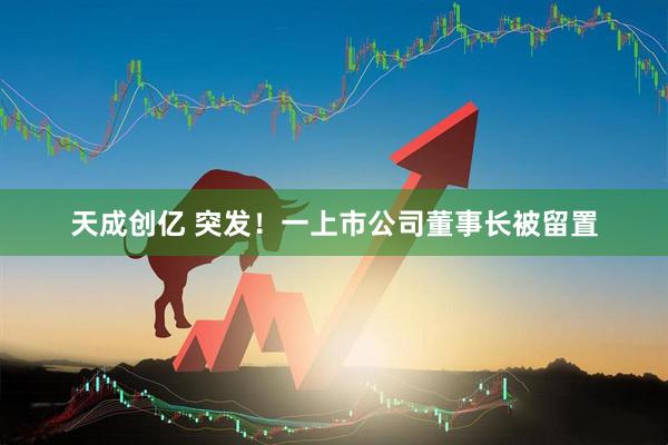 天成创亿 突发！一上市公司董事长被留置