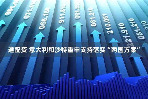 通配资 意大利和沙特重申支持落实“两国方案”